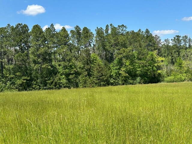 38.02AC Old Thomasville Rd, Ochlocknee, GA 31773