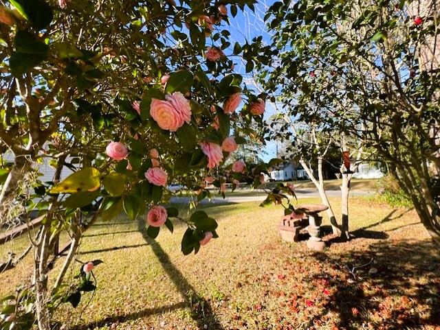 303 Glenwood Dr, Thomasville, GA 31792 - surrounding community