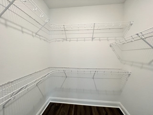 walk in closet featuring wood-type flooring