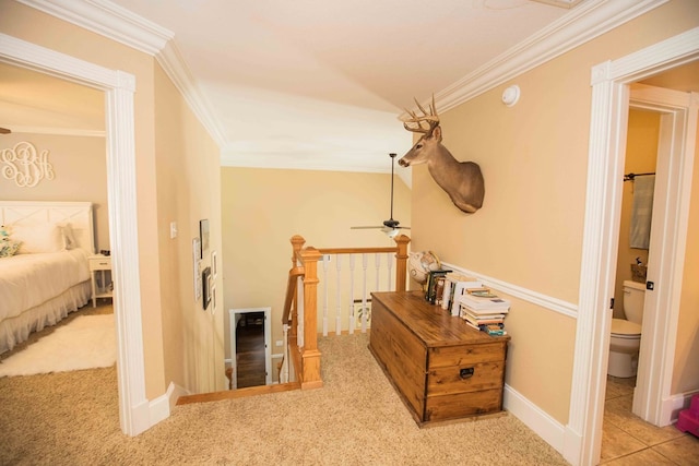 hall featuring light colored carpet and ornamental molding