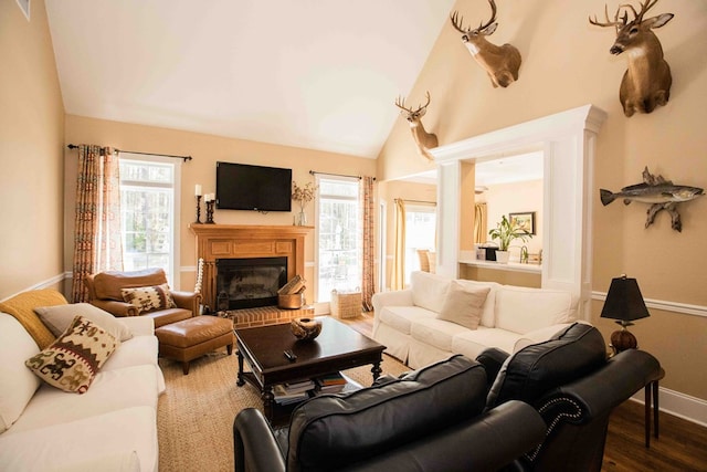 living room with hardwood / wood-style flooring and lofted ceiling