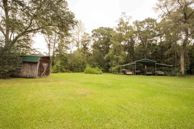 view of yard featuring a carport and a storage shed