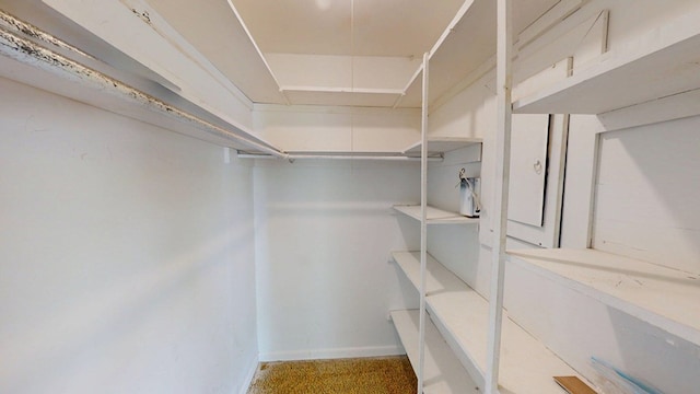 265 SW Sapp Ave, Pelham, GA 31779 - photo 7