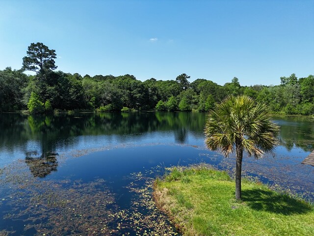 1572 Myron Hart Rd, Coolidge, GA 31738 - photo 41