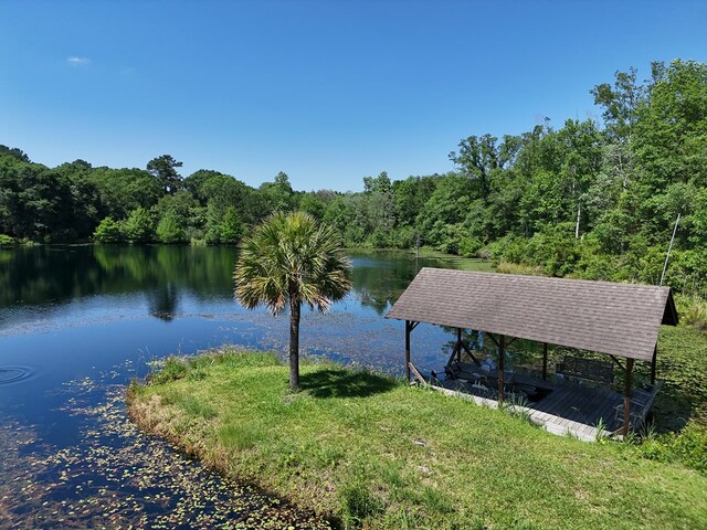 1572 Myron Hart Rd, Coolidge, GA 31738 - photo 42