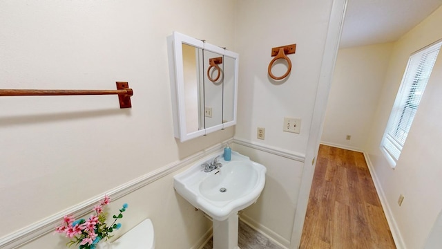 bathroom featuring wood-type flooring