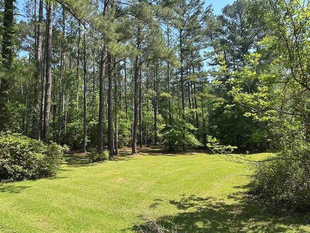 3333 Summerhill Rd, Thomasville, GA 31757 - photo 52