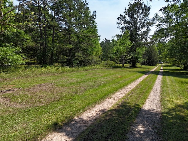 3333 Summerhill Rd, Thomasville, GA 31757 - photo 55