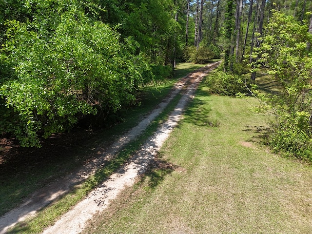3333 Summerhill Rd, Thomasville, GA 31757 - photo 48