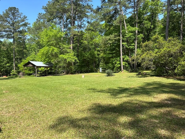 3333 Summerhill Rd, Thomasville, GA 31757 - photo 63