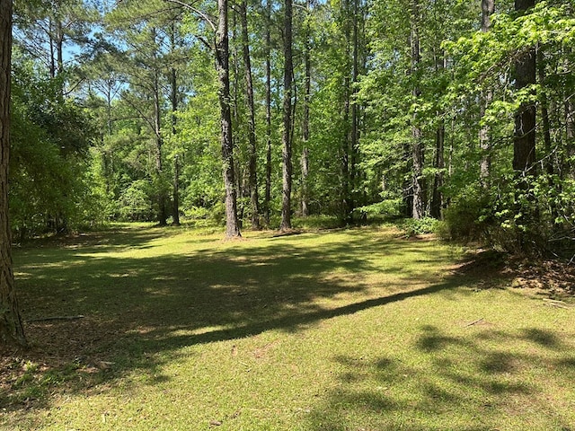 3333 Summerhill Rd, Thomasville, GA 31757 - photo 53