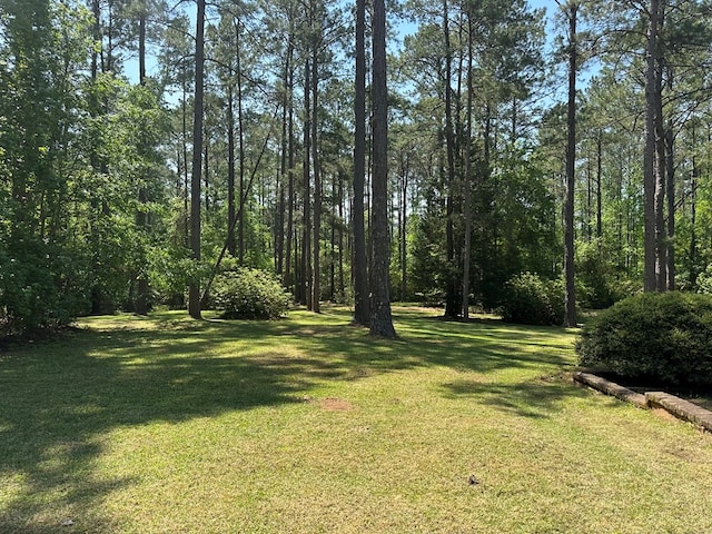 3333 Summerhill Rd, Thomasville, GA 31757 - photo 62
