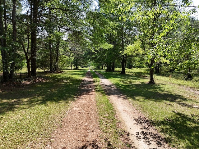 3333 Summerhill Rd, Thomasville, GA 31757 - photo 57