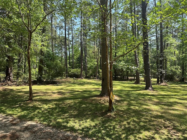 3333 Summerhill Rd, Thomasville, GA 31757 - photo 54