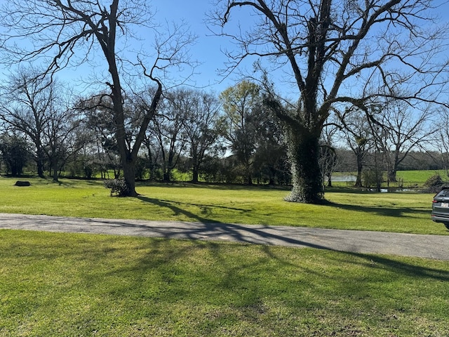 view of property's community featuring a yard