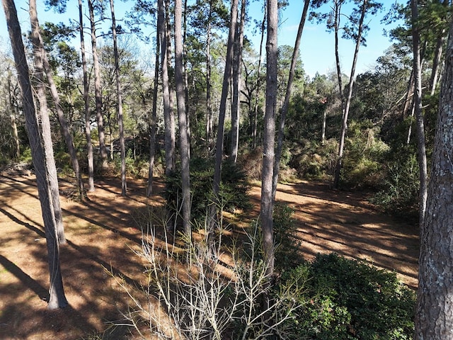 view of local wilderness with a wooded view