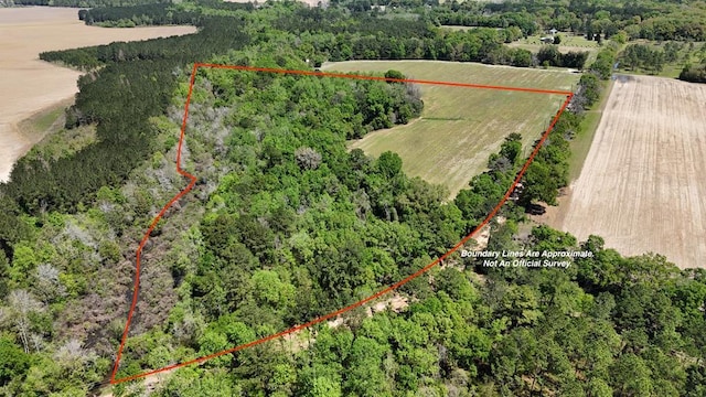 Vacant Rook Road, Ochlocknee GA, 31773 land for sale