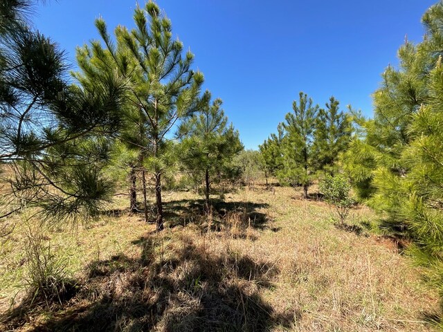 Vacant Ga Highway 3, Ochlocknee, GA 31773