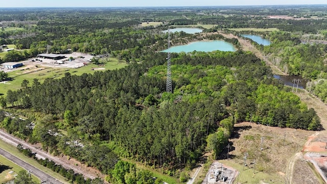 Listing photo 2 for Vacant Ga Highway 3, Ochlocknee GA 31773