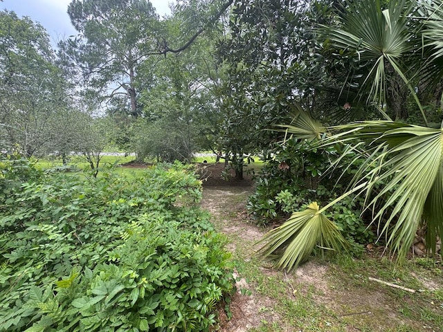 3024 Willow St, Ochlocknee, GA 31773 - view of yard