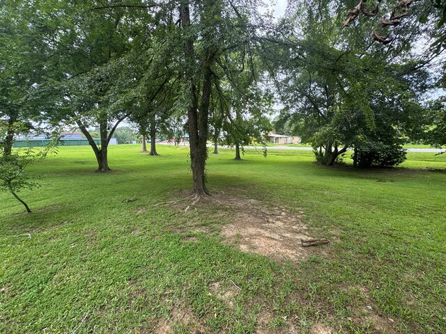 3024 Willow St, Ochlocknee, GA 31773 - view of grassy yard