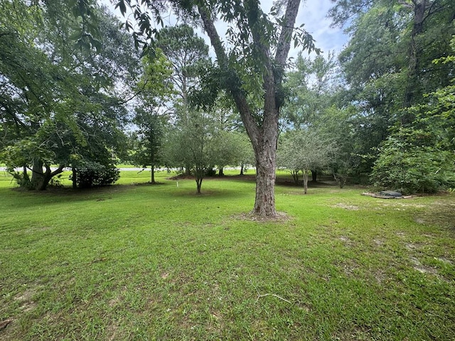 3024 Willow St, Ochlocknee, GA 31773 - view of green lawn