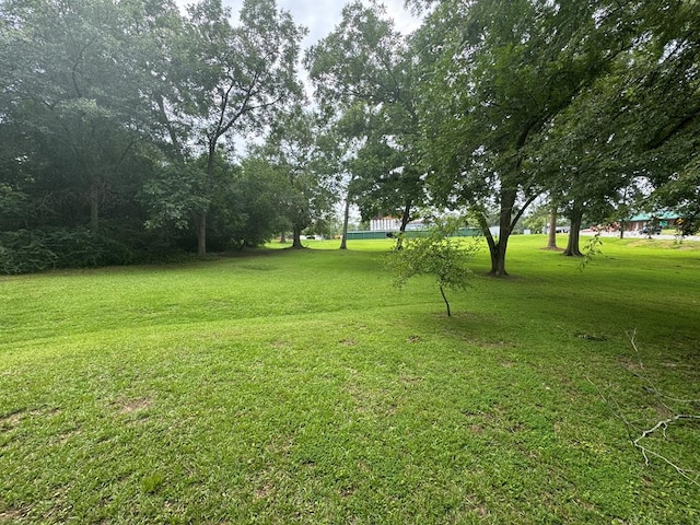 3024 Willow St, Ochlocknee, GA 31773 - view of green lawn