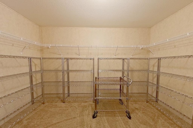 3024 Willow St, Ochlocknee, GA 31773 - view of walk in closet