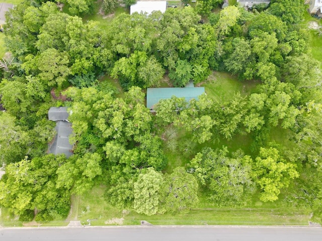 3024 Willow St, Ochlocknee, GA 31773 - aerial view