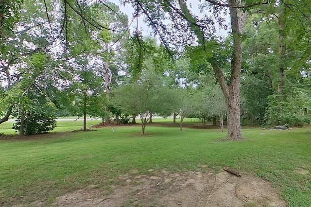 3024 Willow St, Ochlocknee, GA 31773 - view of grassy yard