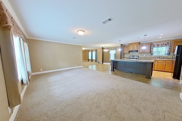 3024 Willow St, Ochlocknee, GA 31773 - kitchen with freestanding refrigerator, electric stove, open floor plan, a center island, and plenty of natural light