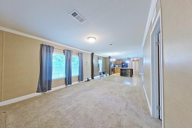 3024 Willow St, Ochlocknee, GA 31773 - unfurnished living room featuring ornamental molding and light carpet