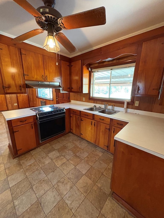 kitchen with under cabinet range hood, brown cabinets, black / electric stove, and a sink