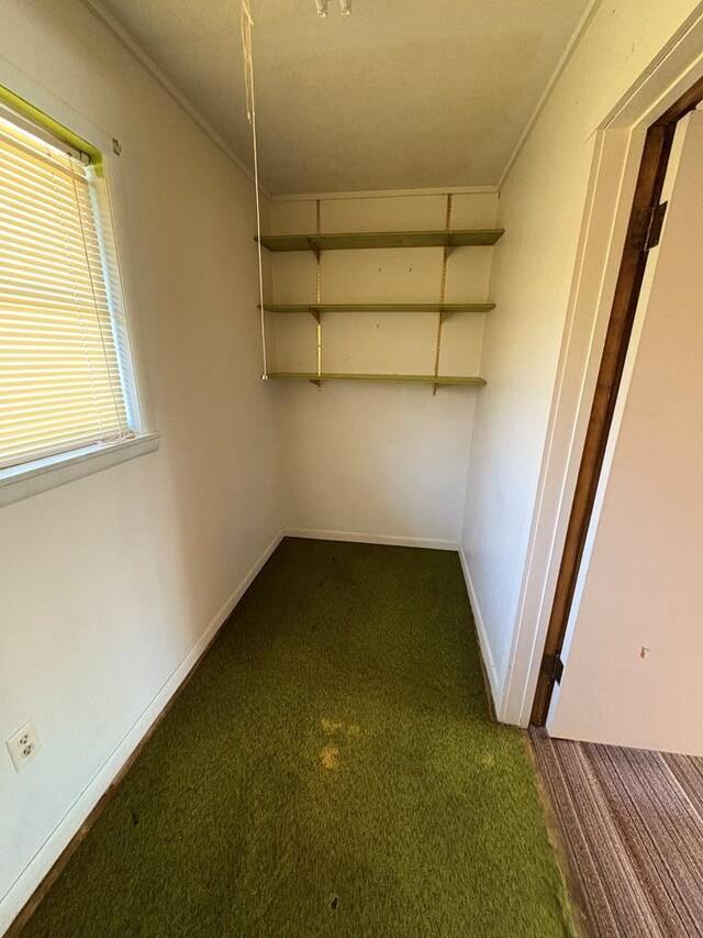 interior space featuring carpet