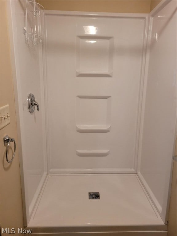 bathroom with a shower