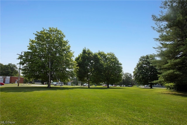 view of community featuring a yard