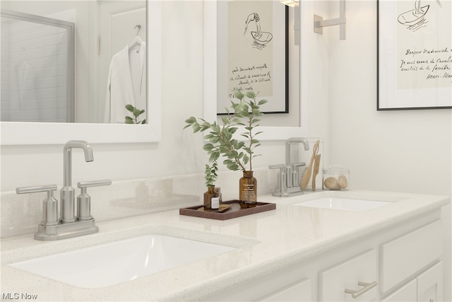 bathroom featuring dual bowl vanity