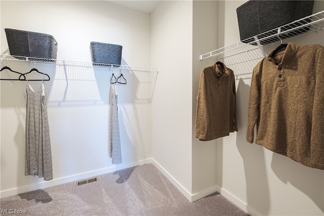 spacious closet featuring carpet floors