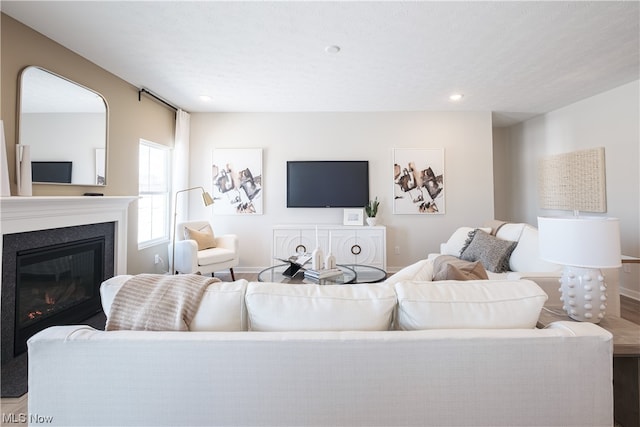 living room with wood-type flooring