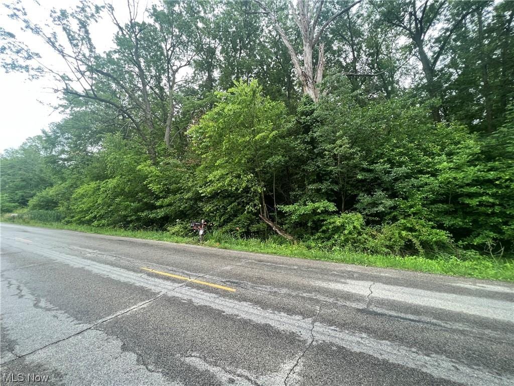 Rayen, Leavittsburg, OH 44430