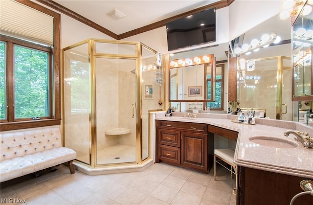 347 State Route 14, Columbiana, OH 44408 - bathroom with vanity, crown molding, and a shower with shower door