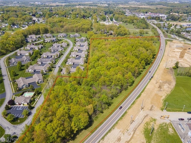 bird's eye view