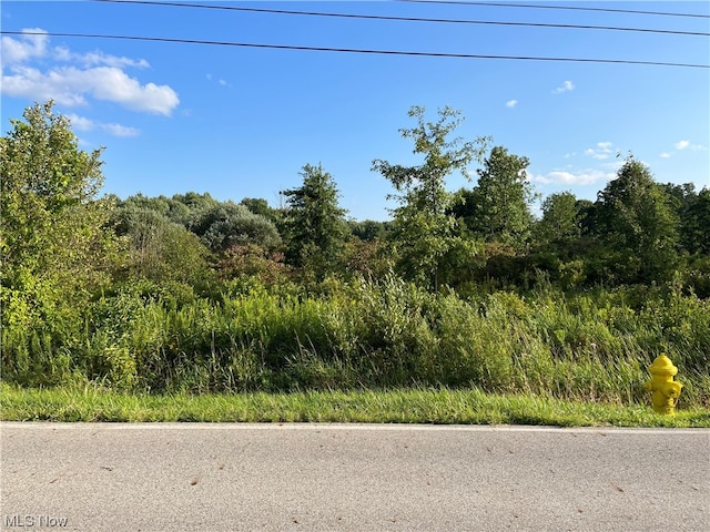 Hewitt Gifford Rd, Lordstown OH, 44481 land for sale