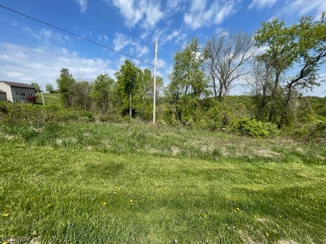 Country Blvd, Clarington OH, 43915 land for sale