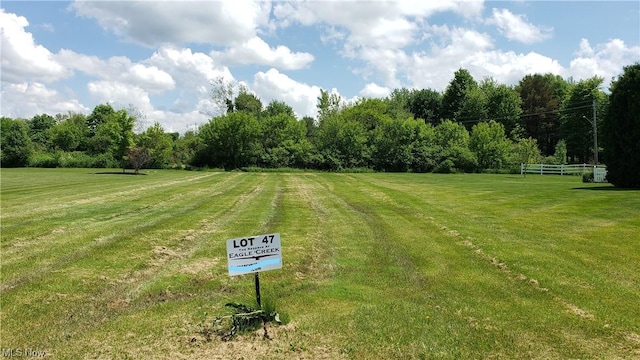 8282 Eagle Creek Dr, Garrettsville, OH 44231 - photo 2