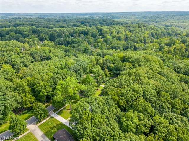 10585 Whitewood Rd, Brecksville, OH 44141 - photo 4
