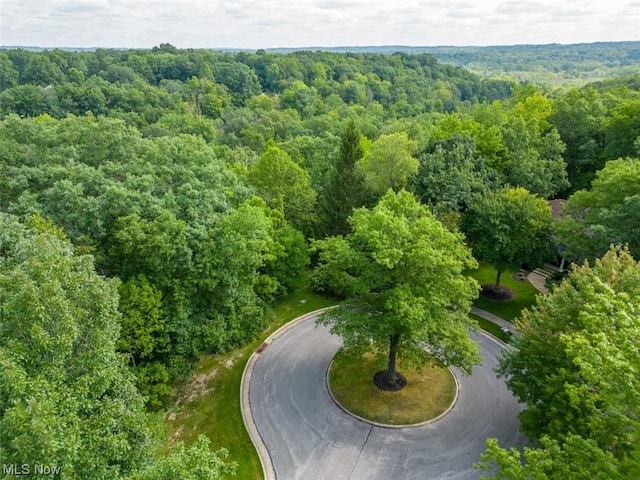 10585 Whitewood Rd, Brecksville, OH 44141 - photo 6