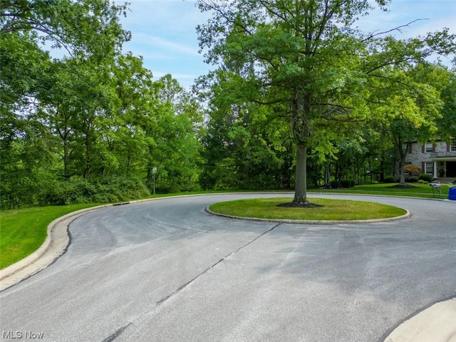 10585 Whitewood Rd, Brecksville, OH 44141 - photo 7