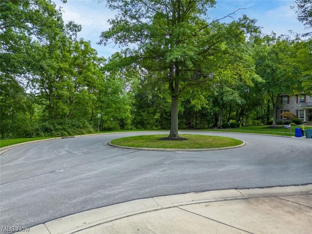 10585 Whitewood Rd, Brecksville, OH 44141 - photo 8