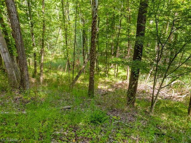 10585 Whitewood Rd, Brecksville, OH 44141 - photo 9